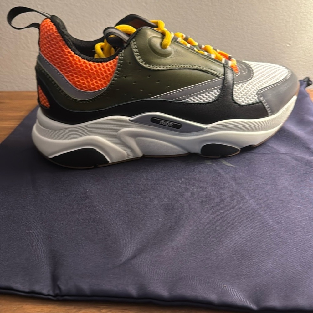 Dior X Peter Doig B22 Orange and Green